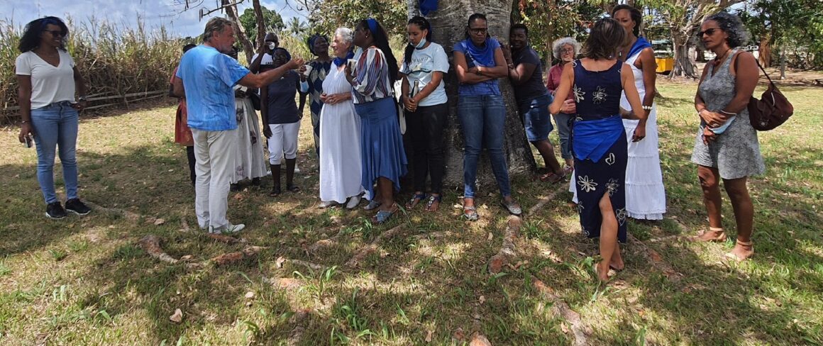 Le mouvement citoyen des Fourmis bleues Guadeloupe s'est officiellement lancé dimanche 7 mars au domaine de Birmingham à Baie-Mahault, avec pour mission la pacification des relations sociétales.