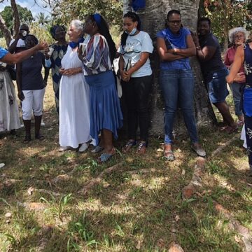 Le mouvement citoyen des Fourmis bleues Guadeloupe s'est officiellement lancé dimanche 7 mars au domaine de Birmingham à Baie-Mahault, avec pour mission la pacification des relations sociétales.