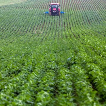 PAC : les principaux points pour verdir l’agriculture de l’UE