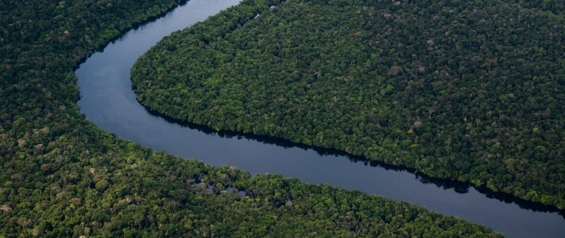 Déforestation: accord inédit de l’UE pour verdir ses importations