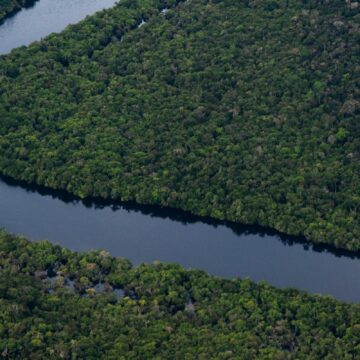 Déforestation: accord inédit de l’UE pour verdir ses importations