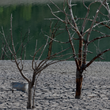 Rivières à sec, chaleur estivale record, incendies: comment le changement climatique a frappé l’Europe en 2022