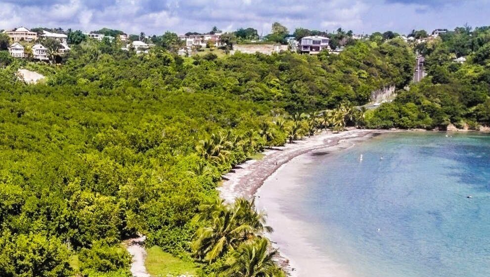 Le Gosier, vue aérienne de la plage des salines, mangrove à l'arrière-plan