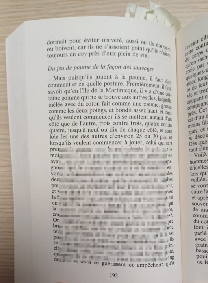 Extrait livre du manuscrit de L'inconnu de Carpentras, un flibustier aux Antilles