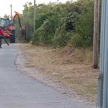 Des travaux de fauchage pas écolo friendly à La Désirade