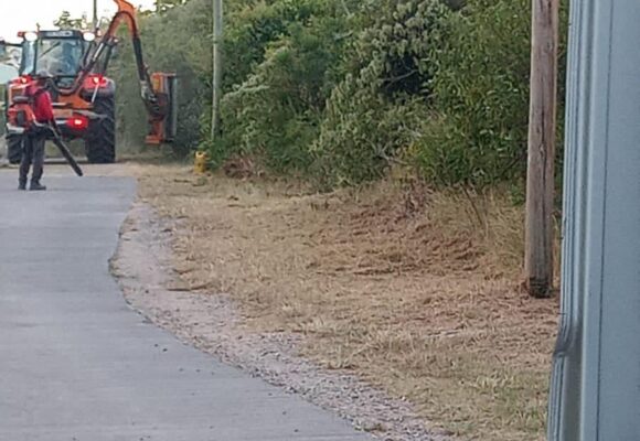 Des travaux de fauchage pas écolo friendly à La Désirade