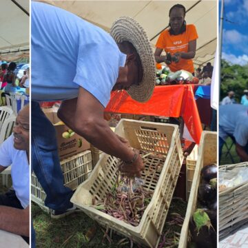 La 6ème édition de la journée des pois organisée dimanche 10 mars 2024 à Anse-Bertrand a été un succès de fréquentation. Photo : FB Anse-Bertrand, l'Authentique