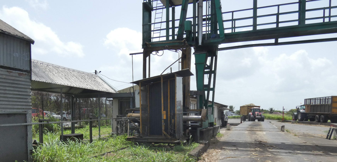 Livraison de cannes à l'usine Gardel au Moule en Guadeloupe