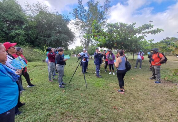 Dimanche 3 mars 2024, de 7h à 9h30, une sortie ornithologique à Babin, Morne-à-l’Eau, a rassemblé 32 passionnés de la nature. Photo : FB Ville de Morne à l'eau