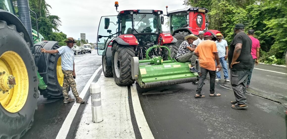 La grogne des planteurs de canne atteint son paroxysme avec le blocage jeudi 25 et vendredi 26 avril 2024 de toutes les entrées de la zone industrielle de Jarry à Baie-Mahault. Photo : Le Courrier de Guadeloupe