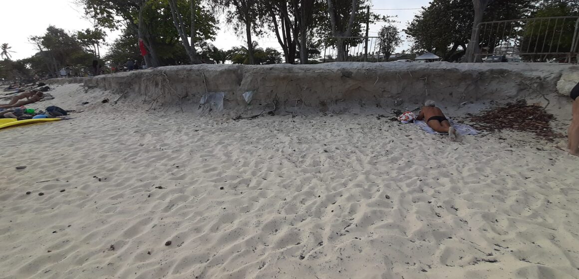 Guadeloupe, Saint-François, plage des Raisins-Clairs, 17 avril 2022. L'érosion a mis au jour au début des années 2010 un ancien cimetière d'esclaves, et les serviettes de plage tutoient les ossements qui affleurent. Photo : Francesca Bertoldi